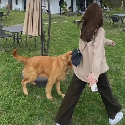 拳影人生